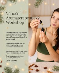 Vánoční aromaterapeutický workshop